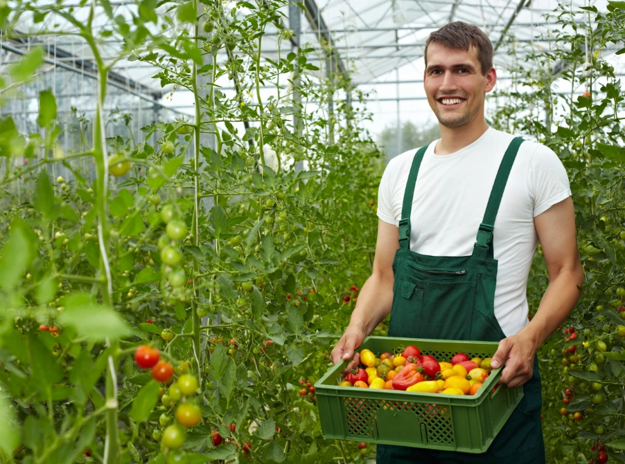 Agent de production agro