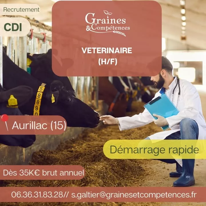 Post Facebook